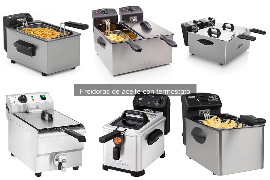Alternativas a la Freidora de Aceite con Termostato