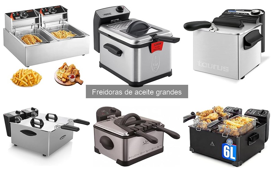 Freidoras de aceite grandes con funciones especiales: comparativa