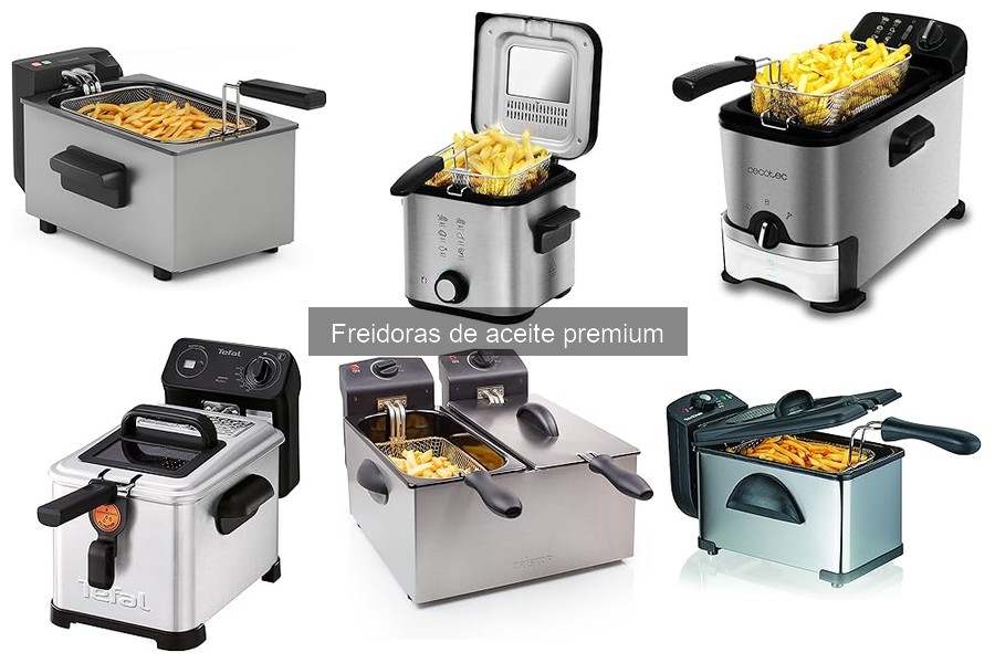 Guía de compra: Freidora de aceite premium ideal para ti