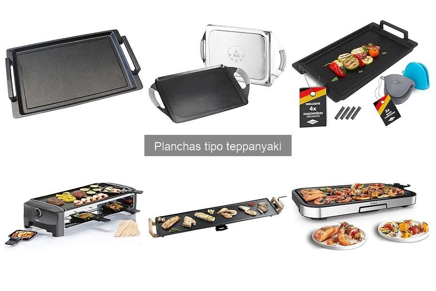 Recetas deliciosas para hacer en planchas tipo teppanyaki