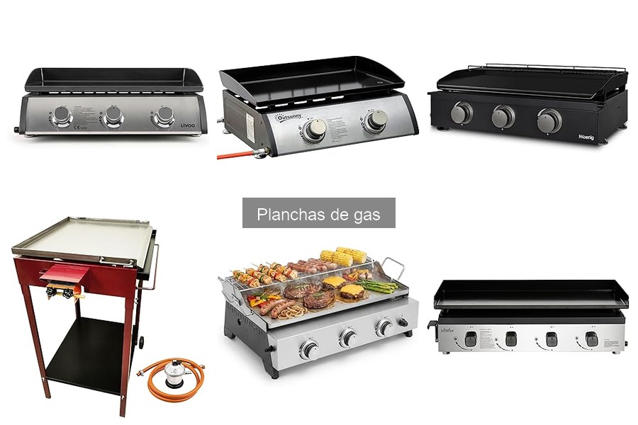 Recetas fáciles para disfrutar con tu plancha de gas